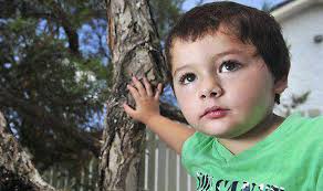 Seven deadly snakes lurked in my little son's wardrobe