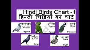 Hd New Birds Name Hindi With English Video Kg And Nursery Child