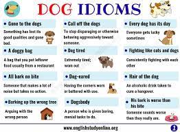 Dog Idioms And Sayings List Of 35 Interesting Idioms Related To Dog In English English Study Online Idioms English Idioms Idioms And Phrases