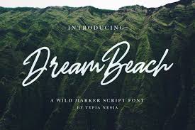 Preview, download and install the wild script.ttf file. Dream Beach Script Font Dafont Free
