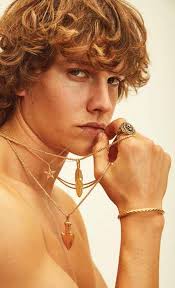 THE BLOGGER WILL SEE YOU NOW