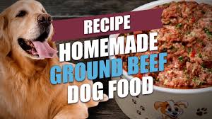 homemade ground beef dog food recipe
