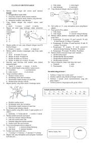 Essay topics for child developmentwhy use citations in research papers case study of jet airways 2008. Soal Dan Jawaban Sistem Saraf Peranti Guru