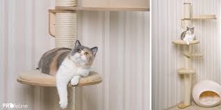 Cats love to be up high, whether they're scouting, hunting, or just looking for a breezy place to relax. Profeline Cat Trees And Scratching Posts Made In Germany