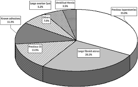 Palmer was kind, thorough and saved me by being hones & forthcoming in how we needed to proceed with surgery. Are We Underutilizing Palmer S Point Entry In Gynecologic Laparoscopy Fertility And Sterility