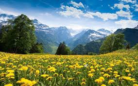 Nature jigsaw puzzles free online. Nature Jigsaw Puzzles Free For Android Apk Download