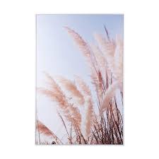 Pampas Grass Framed Print Kmart 60s Decor Decor Home Decor