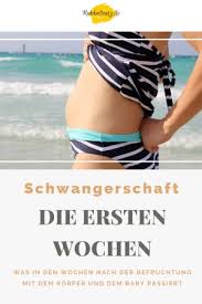 4 271 просмотр 4,2 тыс. Fruhschwangerschaft Was Passiert Jetzt Mit Mir Rubbelbatz