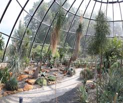 Botanische Garten Der Universitat Zurich Familien Ausflug Ideen Mit Kindern Auch In Den Ferien Kanton Zurich Botanischer Garten Garten Wintergarten Ideen