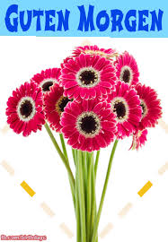 Guten morgen und gute nacht gif tags. Guten Morgen Blumen Gif