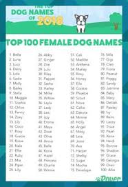 (ok, please don't name your dog gretch.) let your dog's unique physical characteristics guide your naming choice. 11 Girl Pet Names Ideas Girl Pet Names Pet Names Female Dog Names