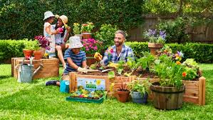 Tiny flowers, delicate in appearance with green stems attached. Woolworths Supermarket Discovery Garden 2021 The Full Of Plants You Can Collect 7news Com Au