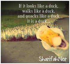 Quote By Sharifahnor Duck Quotes Funny Minion Memes Ducky Quotes