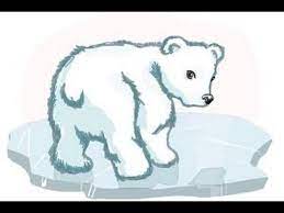 Baby russian polar bear animated pic to draw. How To Draw A Baby Polar Bear Bear Drawing Polar Bear Drawing Baby Polar Bears