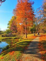 Pin Auf Universitat Hohenheim Schloss Hohenheim