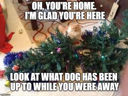 We did not find results for: Wasn T Me Imgflip