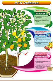 Understanding Npk Fertilizers Grab N Grow Soil Products