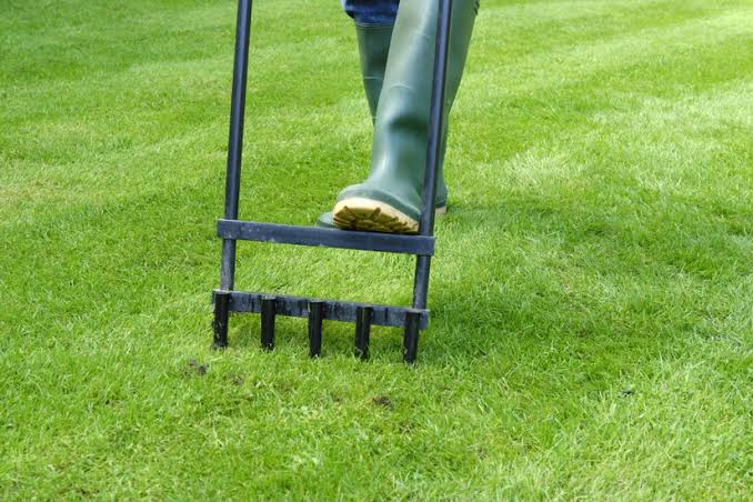 How to deal with compacted lawn soil