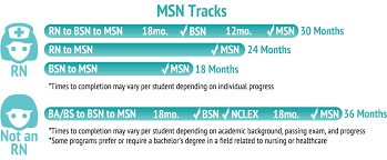 The comparison between rn vs. How To Become A Nurse Practitioner Without A Bsn Nursing Degree