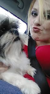 Lost female shih tzu in Spartanburg area