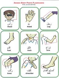 K5 learning offers free worksheets, flashcards and inexpensive workbooks for kids in kindergarten to grade 5. Body Parts 2 Charts Ø£Ø´ÙŠØ§Ø¡ Ø¬ÙŠØ¯Ø©