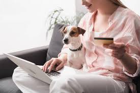 Blue dog business services was founded in 2010 to help make complex business. Cropped View Of Happy Woman Holding Credit Card Near Dog And Laptop While Online Shopping At Home Free Stock Photo And Image