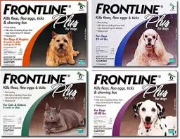 Frontline begins woking immediately to attack the parasite's central nervous system, paralysing then killing them. Frontline Plus Flea And Tick Treatment For Large Dogs 6 Doses Reviews 2021