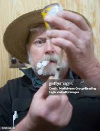 183 Vet Pig Stock Photos, High-Res Pictures, and Images