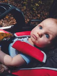 Sonja Rollins Photography