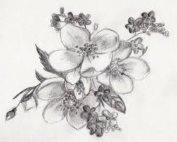 Disegni A Matita Di Fiori Come Disegnare Con Una Matita Sfumature Su Foglio Bianco Disegno Realistico Disegno Fiori Come Disegnare Fiori