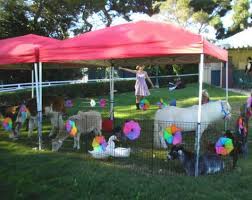 Looking to hire a mobile petting zoo? 31 Mobile Petting Zoo Ideas Mobile Petting Zoo Zoo Zoo Animals