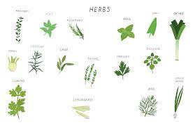 Jun 29, 2021 | view edit history. Sustainable Living 16 Herbs That An Amateur Green Thumb Can Easily Grow Eco Warrior Princess