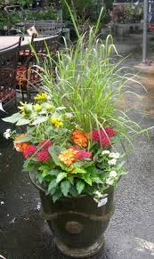 This large container features bloomers in bright colors: Pin By Tiffany Osborne On Oh How Your Garden Grows Plants Garden Containers Container Plants
