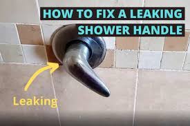 My shower head has just started dripping. How To Fix A Leaking Shower Faucet Balkoni Hijau Blog