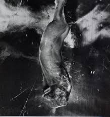 Résultat de recherche d'images pour "fire melted face"