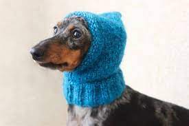 Knitting Pattern Small Dog Hat Mini Dachshund Hat Pet Etsy Dachshund Hat Dog Hat Dog Hats
