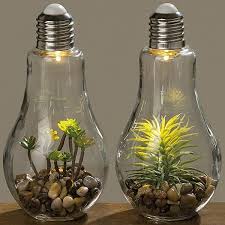 2er set sukkulenten led gluhbirne glas b x h 8x19cm deko lampe kunstpflanze grun hangelampe tischdeko amazon de bel gluhbirne gluhbirnen vase led gluhbirnen
