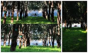 Image result for Ditan