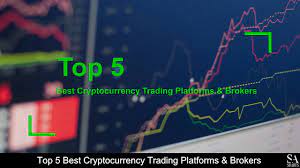 Rank name symbol market cap price circulating supply volume(24h) % 1h % 24h % 7d Top 5 Best Cryptocurrency Trading Platforms Brokers Revealed Youtube
