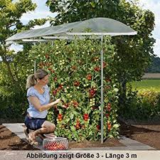 Beckmann Kg Psn1 Schutzdach Fur Pflanzen Grosse 1 100 X 112 Cm Amazon De Garten Selbstversorger Garten Pflanzen Tomaten Garten