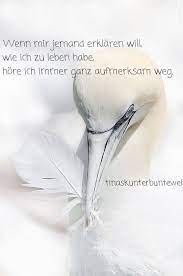 Der bienes welt song ist die perfekte untermalung für jeden kindergeburtstag oder einfach nur mal für zwischendurch. Facebook