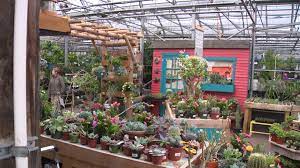 We did not find results for: Gardener S Supply Expanding Into Massachusetts
