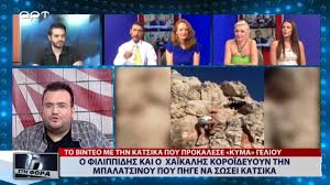 We did not find results for: O Petros Filippidhs Kai O Paylos Xaikalhs Koroideyoyn Thn Mpalatsinoy Poy Phge Na Swsei Katsika Youtube