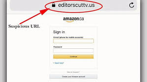 One is for $65.00 and another one for $120.38. Rcmp Issue Warning Over Amazon Email Scam Ctv News