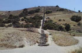 On this trek, you will see panoramic views of downtown los angeles, the hollywood sign, the griffith observatory, lake hollywood, a castle or two, and a mosaic of perfectly designed homes. Culver City Stairs Wikipedia