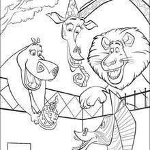 Desenhos Para Colorir De Desenho Dos Animais Felizes Na Floresta Para Colorir Pt Hellokids Com