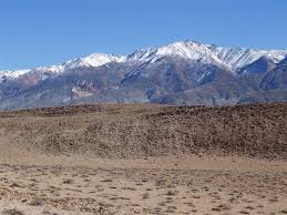 They managed to procure a sample from a bristlecone pine. White Mountains Of California Windyscotty S Blog