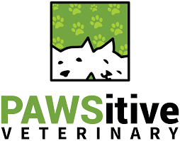 At animal kind veterinary hospital, our clients and their pets deserve the best. Pawsitive Veterinary Of New York Serving Ditmas Park In Brooklyn Ny