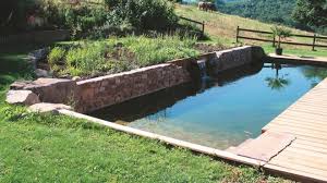 10 Questions Sur Les Piscines Naturelles