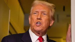 An adorable vain piglet sees herself in the mirror for the first time